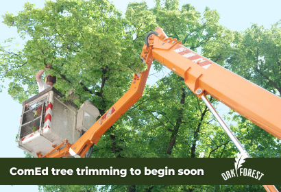 News Flash ComEd tree trimmin