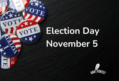 Election Day November 8 (410 x 280 px) (2)