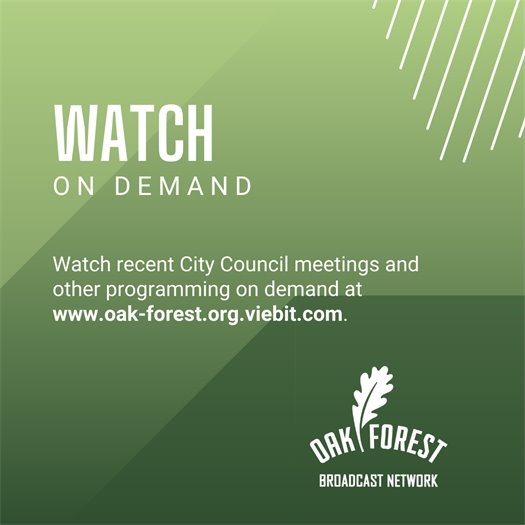 Watch City Council meetings on demand