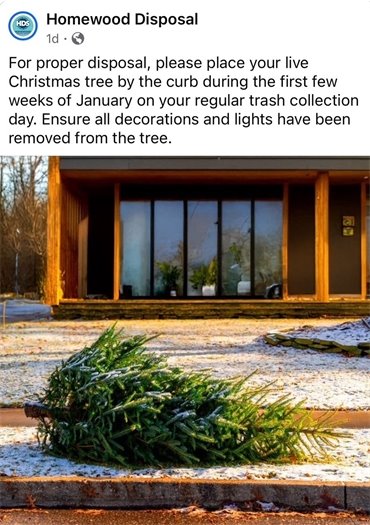 Christmas tree disposal
